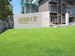 现代学徒制-运行管理系统-11月24日日志