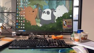 现代学徒制-运行管理系统-久洲装饰-支晓雯-11月23号