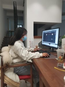 现代学徒制-运行管理系统-北山装饰12/10