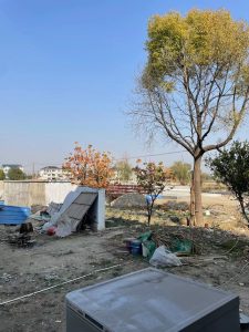 图片[3]-12.3 懒人设计 范诗语-现代学徒制-运行管理系统