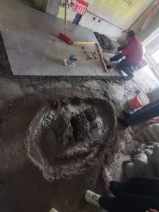 图片[1]-名帆装饰-艺术1951周王雨2022.10.19-现代学徒制-运行管理系统