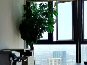 现代学徒制-运行管理系统-华海装饰一艺术1851吴欣慧 2022.11.10