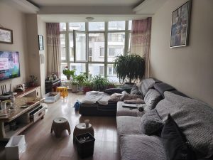 图片[1]-涛晨装饰－艺术1851李嘉怡2022.11.13-现代学徒制-运行管理系统