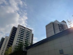 现代学徒制-运行管理系统-涛晨-艺术1851黄佳晨 2022.11.07