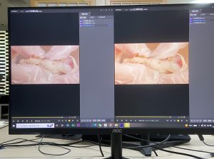 图片[3]-苏州瀚川-艺术2052孔雯 2022.12.15-现代学徒制-运行管理系统