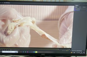 图片[4]-苏州瀚川-艺术2052孔雯 2022.12.15-现代学徒制-运行管理系统