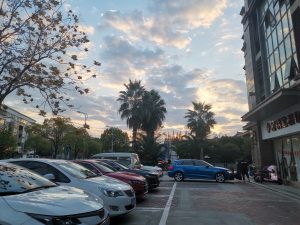 每日企划—艺术2052彭沛雯 2022.12.23-现代学徒制-运行管理系统