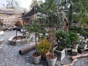 现代学徒制-运行管理系统-迈恩德-艺术2052李媛媛2022.12.12