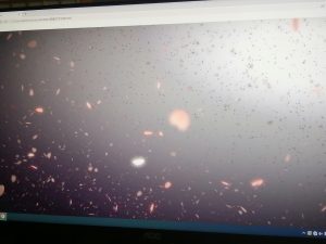 现代学徒制-运行管理系统-瀚川—艺术2052 曹佳怡 2022.12.15