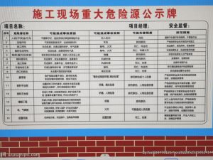 图片[1]-新芒广告——艺术2052严思怡2022.12.15-现代学徒制-运行管理系统