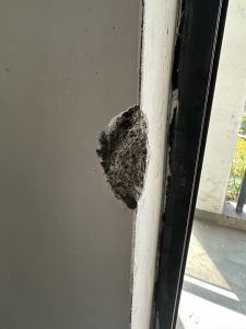 图片[2]-峰奕家装饰—艺术1951杨静雯 2023.3.28-现代学徒制-运行管理系统