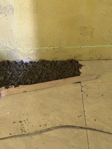 图片[3]-峰奕家装饰—艺术1951杨静雯 2023.3.15-现代学徒制-运行管理系统