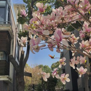 图片[10]-琅艺装饰—艺术1951 杨晓芸 2023.3.16-现代学徒制-运行管理系统