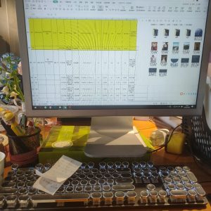 图片[1]-百子莲 艺术2052杜沁怡 2023.4.20-现代学徒制-运行管理系统