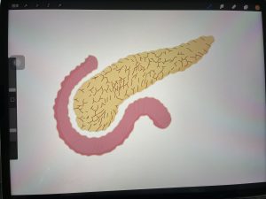 现代学徒制-运行管理系统-太仓简艺广告传媒有限公司—艺术2052耿毛毛2023.4.10