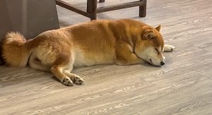 图片[3]-麦文化-艺术2052顾梦婷-4月13日-现代学徒制-运行管理系统