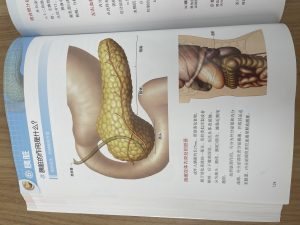 现代学徒制-运行管理系统-太仓简艺广告传媒有限公司—艺术2052耿毛毛 2023.4.11