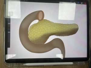 图片[2]-太仓简艺广告传媒有限公司—艺术2052耿毛毛 2023.4.11-现代学徒制-运行管理系统