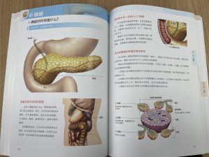 图片[2]-太仓简艺广告传媒有限公司—艺术2052耿毛毛2023.4.10-现代学徒制-运行管理系统