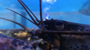 图片[58]-摩绘设计—艺术1951杨舒清 2023.03.13—04.07-现代学徒制-运行管理系统