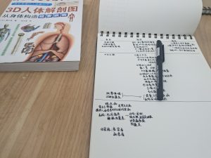 图片[2]-简艺——艺术2052 冯凯云 2023.4.10-现代学徒制-运行管理系统