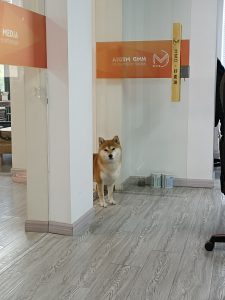 图片[1]-麦文化——艺术2052赵伊雯——2023.4.11-现代学徒制-运行管理系统