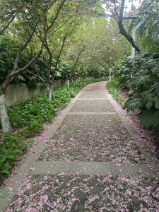 图片[1]-麦文化——艺术2052赵伊雯——2023.4.17-现代学徒制-运行管理系统