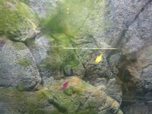 图片[1]-麦文化——艺术2052赵伊雯——2023.4.14-现代学徒制-运行管理系统