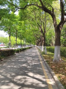 图片[1]-实习日志:郡逸文化-艺术2052翁子雯-2023.4.21-现代学徒制-运行管理系统