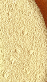 图片[9]-摩绘设计—艺术1951杨舒清 2023.03.13—04.07-现代学徒制-运行管理系统