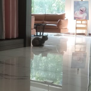 图片[2]-万涛装饰-艺术2051 宋瑞琦2023.5.23-现代学徒制-运行管理系统