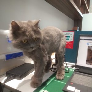 图片[1]-万涛装饰-艺术2051 宋瑞琦2023.5.23-现代学徒制-运行管理系统