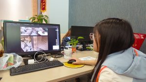 图片[1]-陈工装饰 艺术2051 杨岢 2023.05.24-现代学徒制-运行管理系统