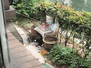 图片[2]-苏禾装饰 艺术2051 邵文惠 2023.6.1-现代学徒制-运行管理系统