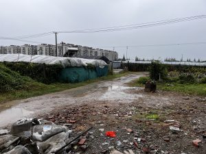 图片[4]-陈工装饰-艺术1951 廖梦蕾-2023.10.13-现代学徒制-运行管理系统