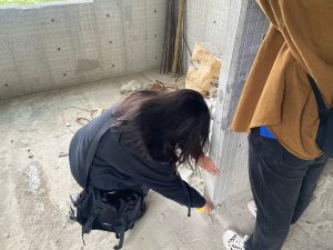 图片[1]-榫卯装饰-艺术1951姜玉婷-10.11-现代学徒制-运行管理系统