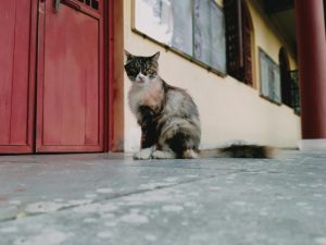 图片[9]-摩绘设计—艺术1951杨舒清2023.10.9-现代学徒制-运行管理系统