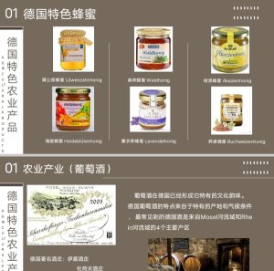 图片[1]-东沃-艺术1951张诗雨 10.11-现代学徒制-运行管理系统