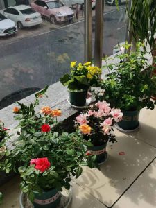 图片[2]-欧铂丽——艺术1951叶蕊怡10.9-现代学徒制-运行管理系统