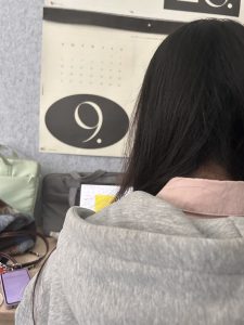 图片[1]-带走-艺术1951蒋子若2023.11.24-现代学徒制-运行管理系统