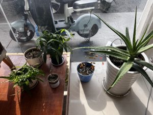 图片[2]-陈工装饰-艺术1951 廖梦蕾-2023.11.7-现代学徒制-运行管理系统