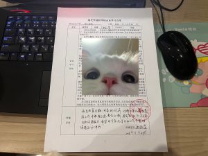 陈工装饰-艺术1951 廖梦蕾-2023.11.23-现代学徒制-运行管理系统