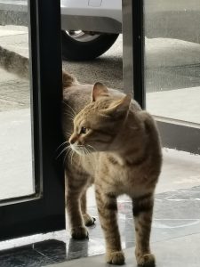 图片[2]-沐泽—艺术1951任阳阳 2023.11.8-现代学徒制-运行管理系统