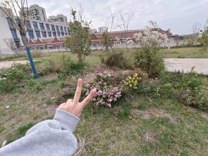 图片[8]-沐泽-艺术1951王敏琪-2023.11.13-现代学徒制-运行管理系统