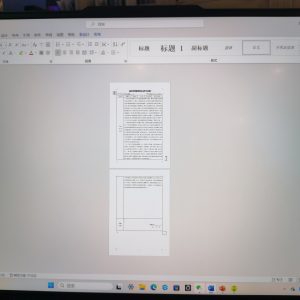 懒人-艺术1951查慧杰-2023.11.23-现代学徒制-运行管理系统