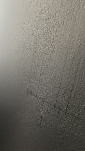 图片[1]-乌篷船装饰-艺术1951资振武2023.11.2-现代学徒制-运行管理系统