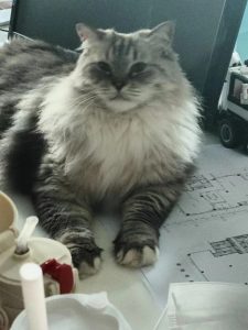 图片[5]-东沃装饰 艺术2051邵文惠  2023.11.27-现代学徒制-运行管理系统