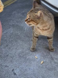 图片[3]-沐泽-艺术1951王敏琪-2023.11.8-现代学徒制-运行管理系统