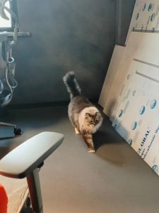 图片[6]-东沃装饰 艺术2051邵文惠  2023.11.27-现代学徒制-运行管理系统