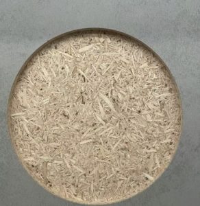 欧铂丽——艺术1951王怡杰2023.11.13-现代学徒制-运行管理系统